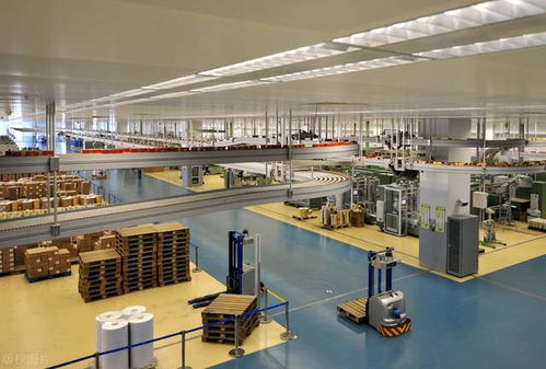 法律理想还是稳定现实？应届法学女生的职业抉择